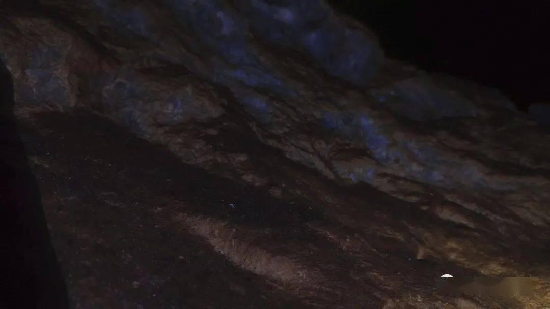 侏罗纪世界进化