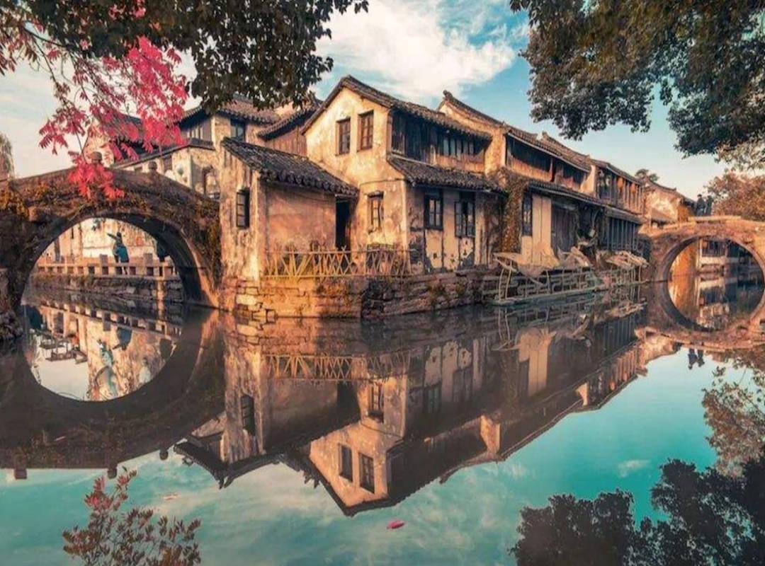 饥饿的哈利